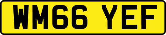 WM66YEF