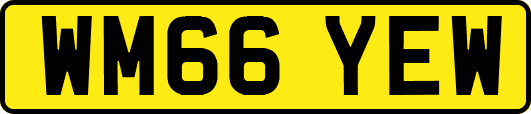 WM66YEW