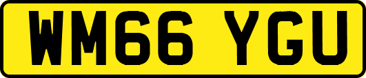 WM66YGU