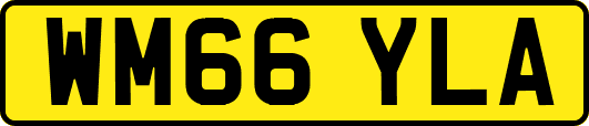WM66YLA