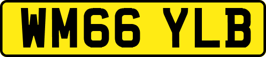 WM66YLB