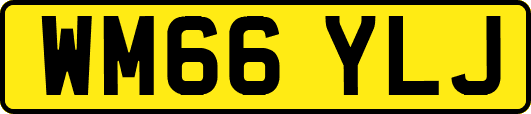 WM66YLJ