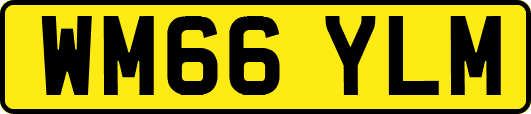 WM66YLM