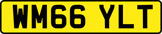 WM66YLT