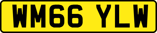 WM66YLW