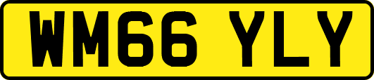 WM66YLY