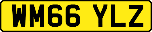 WM66YLZ