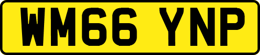 WM66YNP