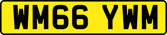 WM66YWM