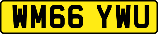 WM66YWU