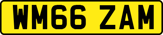 WM66ZAM