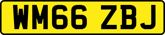 WM66ZBJ