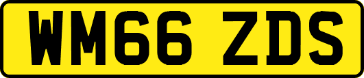 WM66ZDS