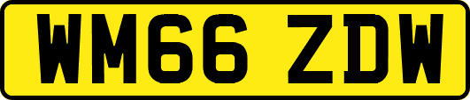 WM66ZDW