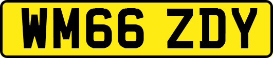 WM66ZDY