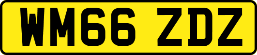 WM66ZDZ