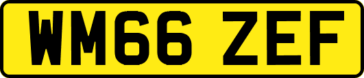 WM66ZEF
