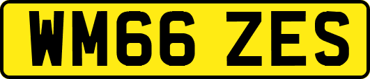 WM66ZES