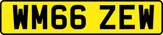 WM66ZEW