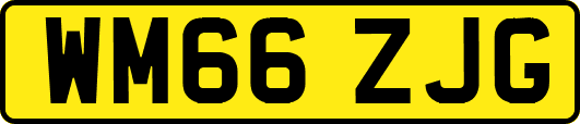 WM66ZJG