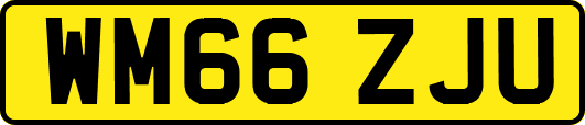 WM66ZJU