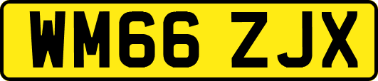 WM66ZJX