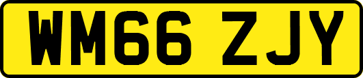 WM66ZJY