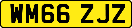 WM66ZJZ