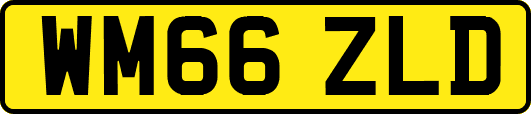 WM66ZLD