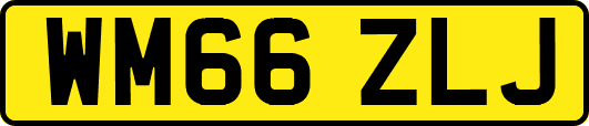 WM66ZLJ
