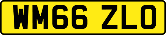 WM66ZLO