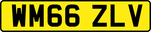 WM66ZLV
