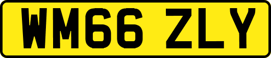 WM66ZLY