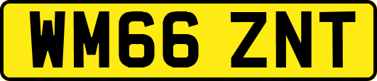 WM66ZNT