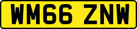 WM66ZNW