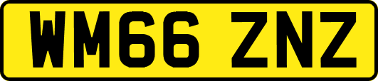 WM66ZNZ