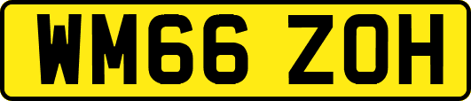 WM66ZOH