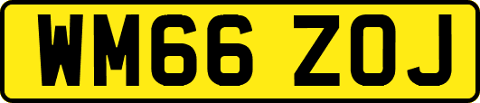 WM66ZOJ