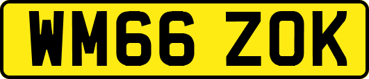 WM66ZOK