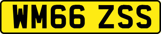 WM66ZSS