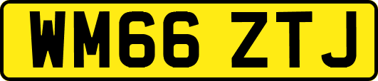 WM66ZTJ