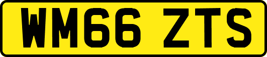 WM66ZTS