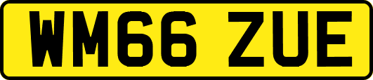 WM66ZUE