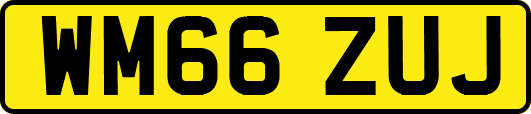 WM66ZUJ