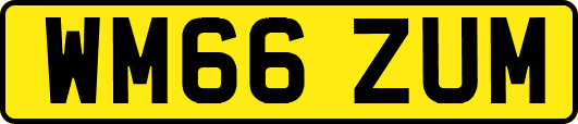 WM66ZUM