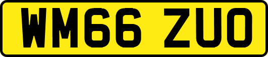 WM66ZUO