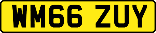 WM66ZUY