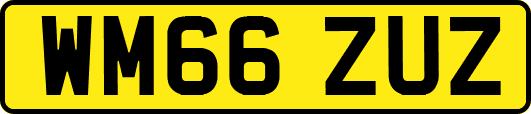 WM66ZUZ