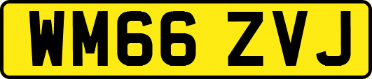 WM66ZVJ