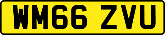 WM66ZVU